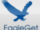téléchargement gratuit, programme gratuit EagleGet ,Téléchargez rapidement des fichiers avec EagleGet,Téléchargez des fichiers avec EagleGet, EagleGet, eagle get, télécharger des fichiers, fichiers multimédia